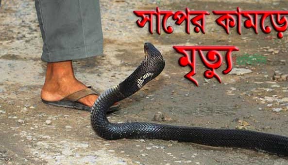 চাঁপাইনবাবগঞ্জে পদ্মার চরে সাপের  কামড়ে তিন শিশু সন্তানের জননী গৃহবধুর মৃত্যু